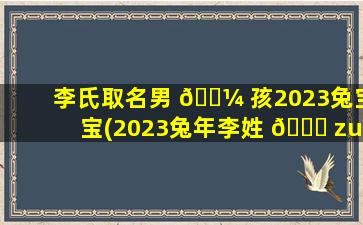 李氏取名男 🐼 孩2023兔宝宝(2023兔年李姓 🐕 zui
旺男孩名字)